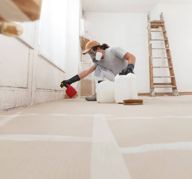 Best Comprehensive Air Testing for Mold Contaminants  in Miami, FL