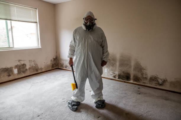 Best Residential Mold Inspection & Testing  in Miami, FL